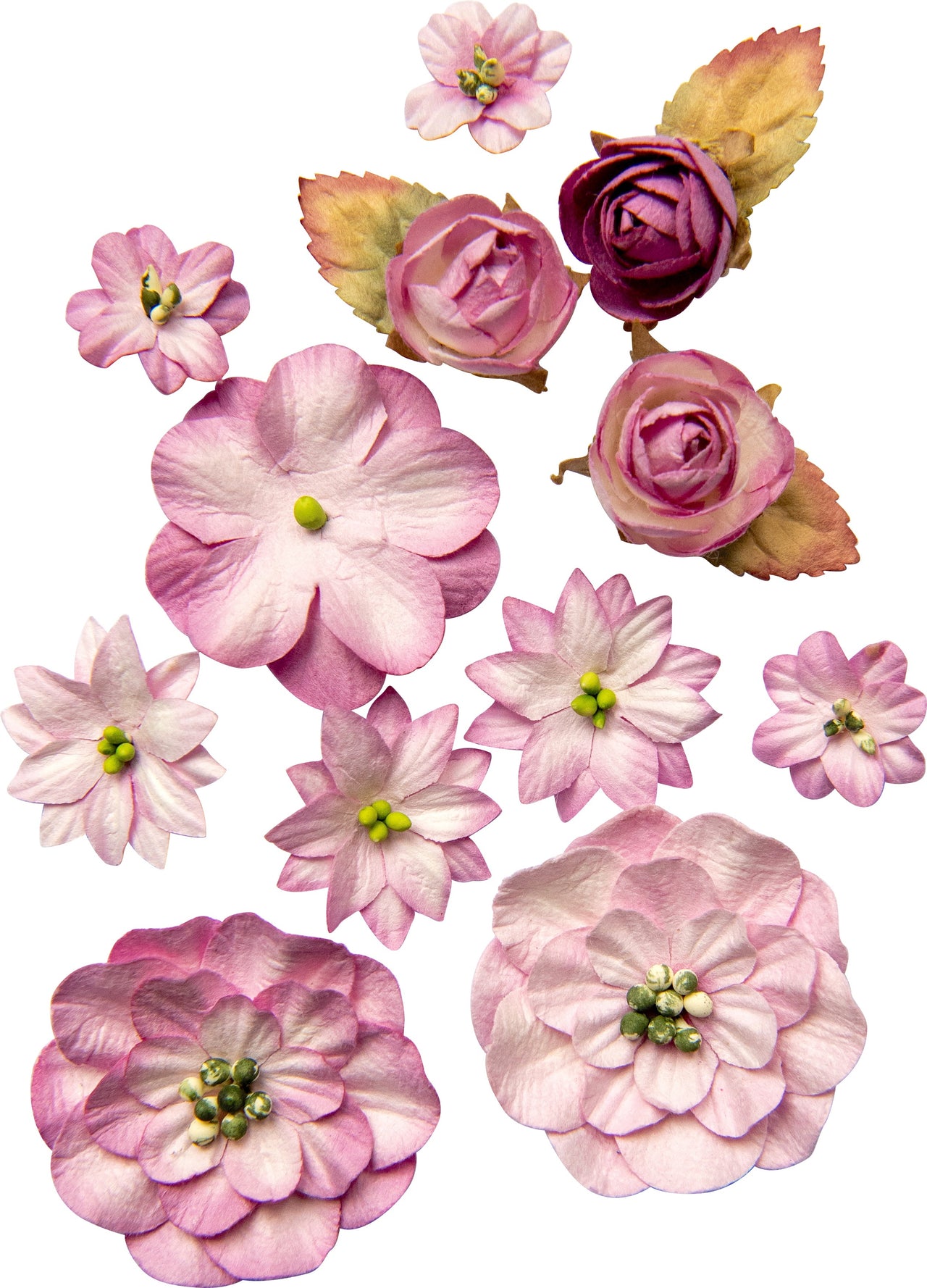 49 And Market Country Blooms 12/Pkg - Punch