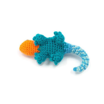 Abayomi the Agama Lizard