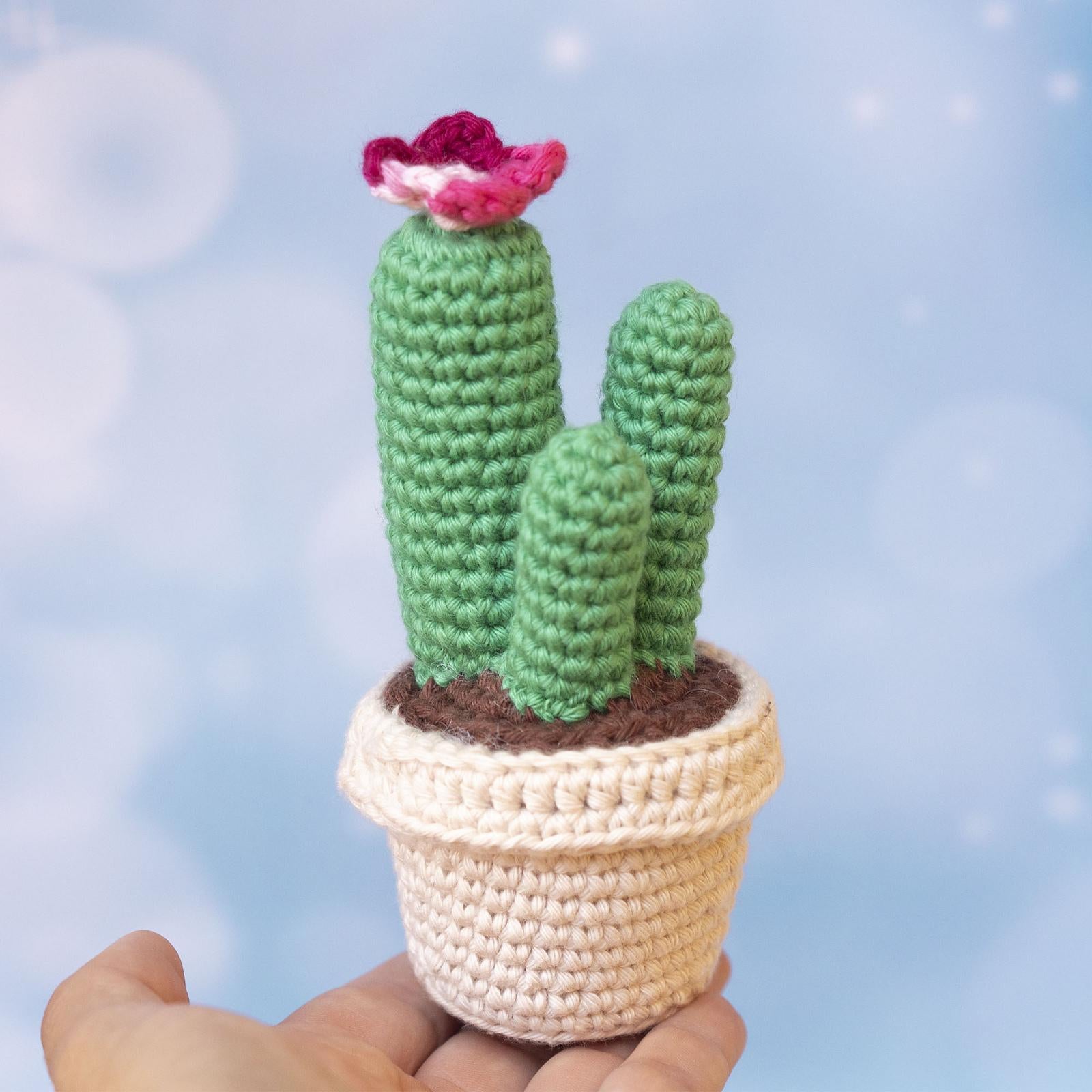 Cactus Bundle