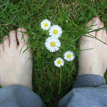 Barefoot chart