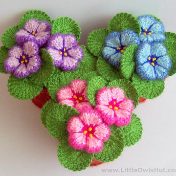 189 Violets flowers in Pots