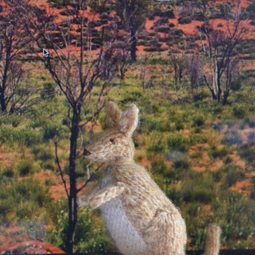 Kangaroo Family