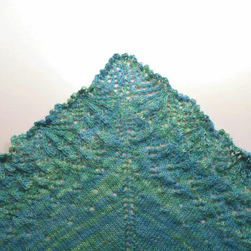 ParkLife Shawl