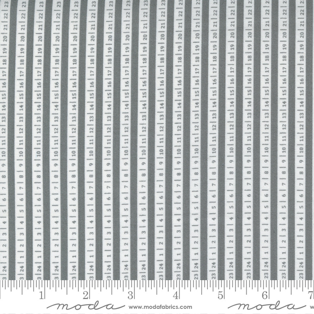 Moda Fabrics Beautiful Day - Grey - 29135 14