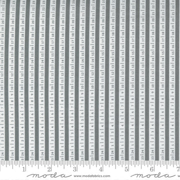 Moda Fabrics Beautiful Day - Grey - 29135 14