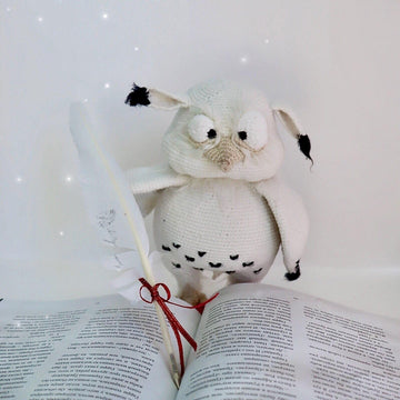 School owl
