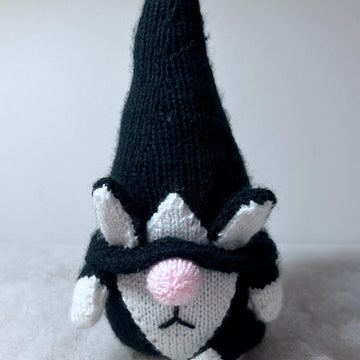 Cat Gnome
