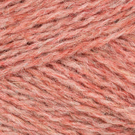 Salmon (0301)