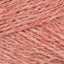 Salmon (0301)