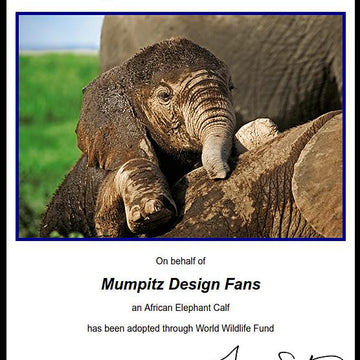 Scrappyphant