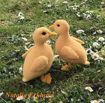 Yellow duckling