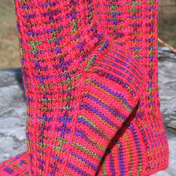 Family Festivities Socks