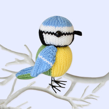 Billy Blue Tit