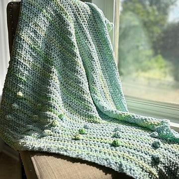 Lil Sprout Baby Blanket