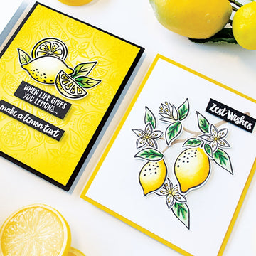 Hero Arts Clear Stamps 4"X6" - Zest Wishes