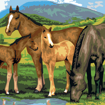 Royal Brush Junior Large Paint By Number Kit 15.25"X11.25" - Horse & Foals