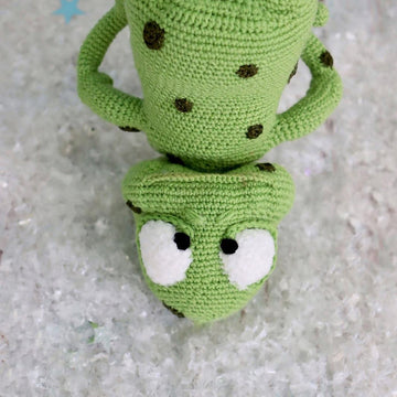 Funny frog