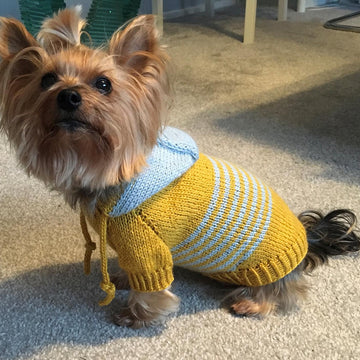 Hooded Sweater for Dogs