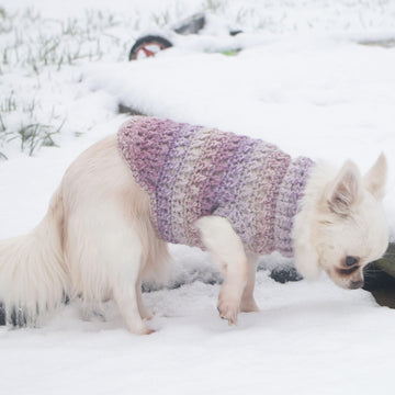 Criss cross dog sweater in 3 sizes
