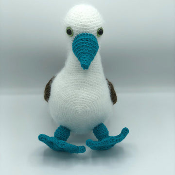 Bobby the Blue-footed Booby