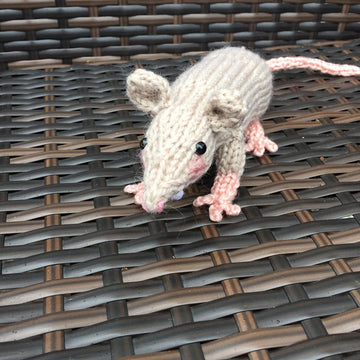 Raymond the Rat