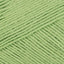 Lettuce (081)