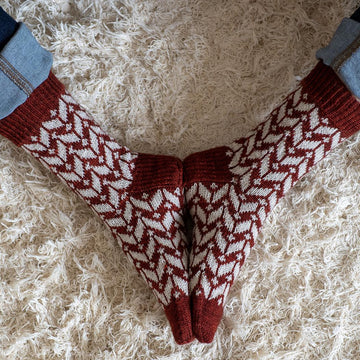Trailblaze Socks