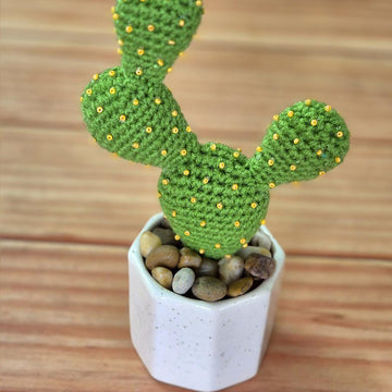 Prickly pear cactus
