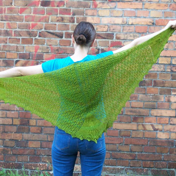 Friendly neighbourhood spider-shawl