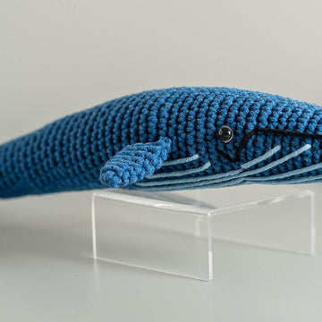 Vera the Blue Whale