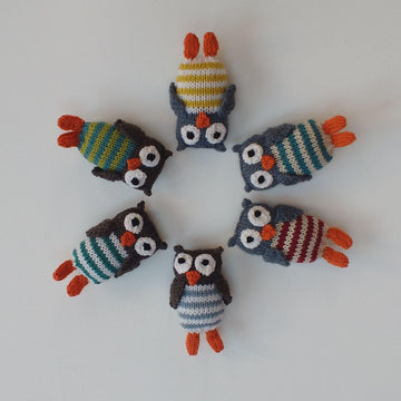 Little Owlet