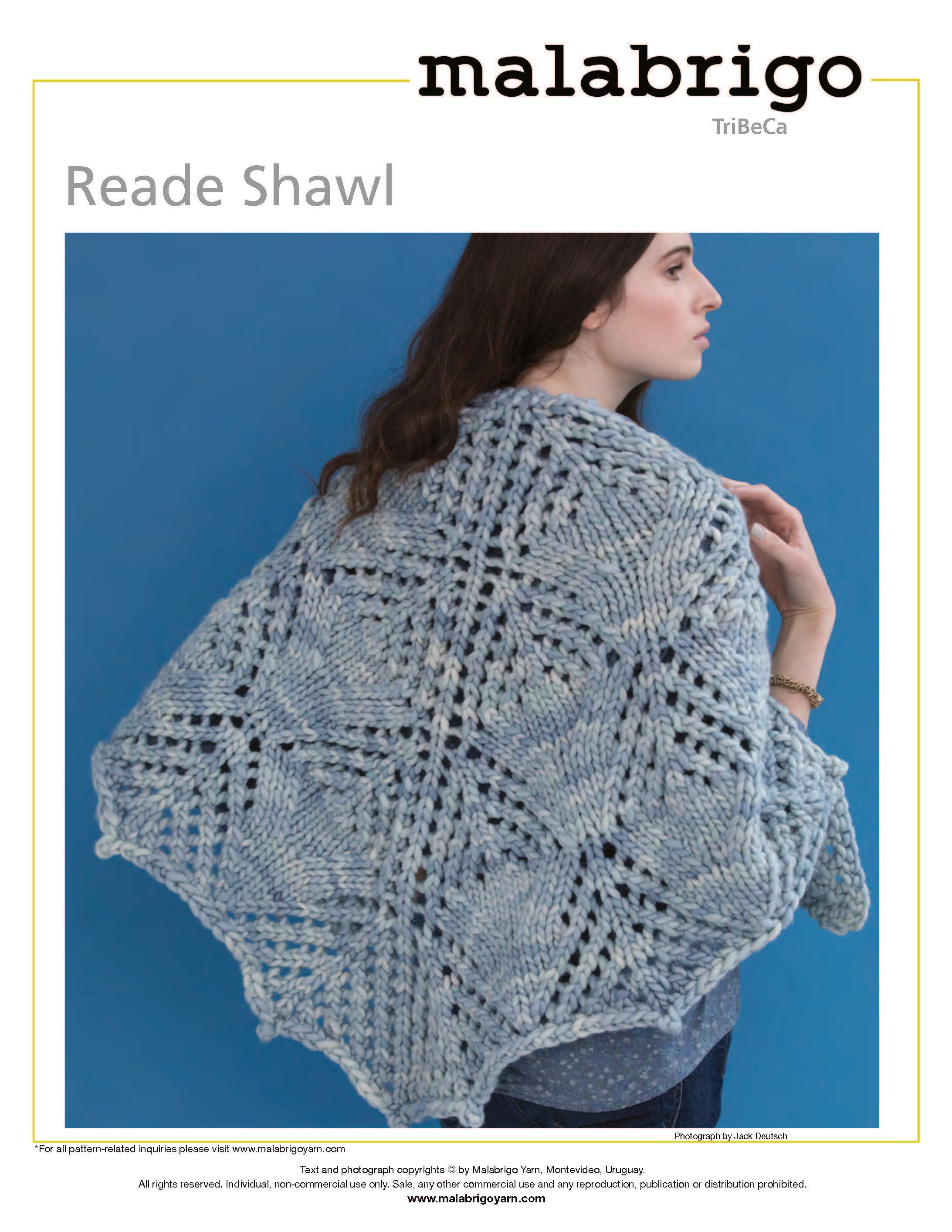 Reade Shawl in Malabrigo Rasta - Downloadable PDF