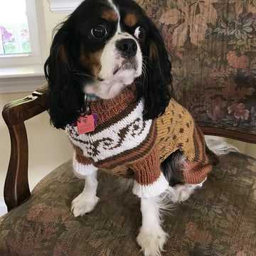 Stylin' Rescue Pup Sweater