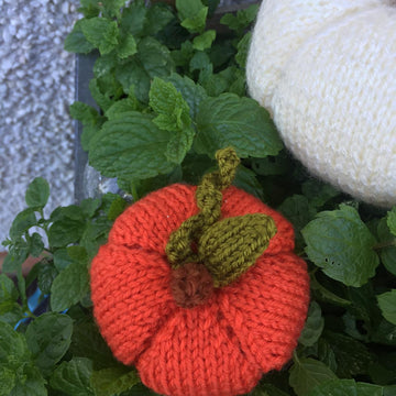 Pumpkin Duo