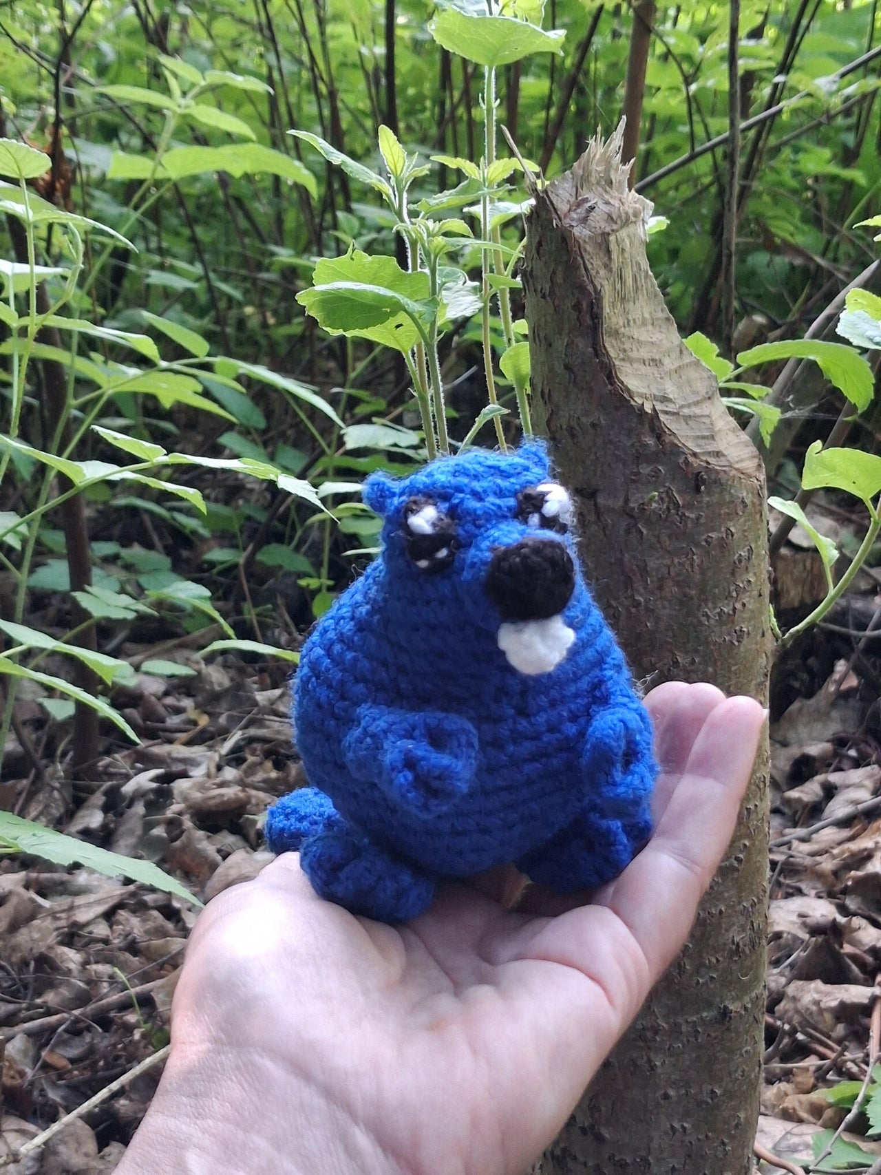 Woodland Friends: The Invisible Beaver