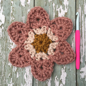 Cosy Cosmos Flower