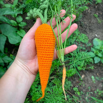 Carrot