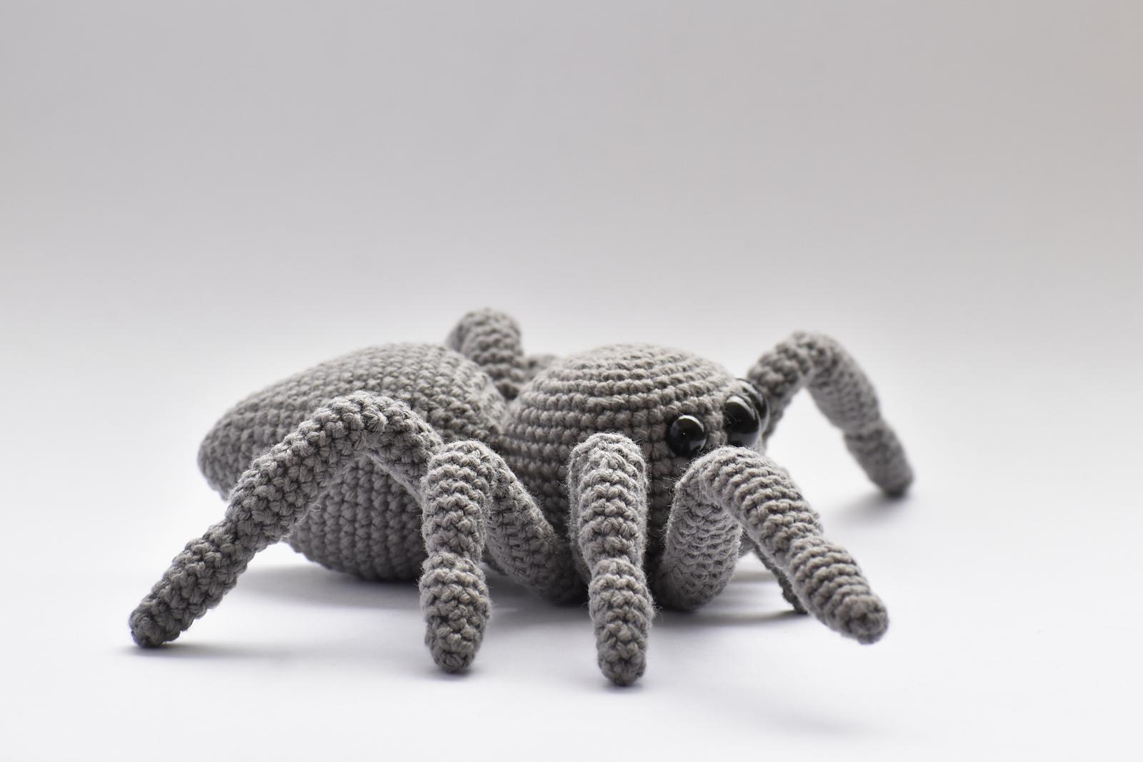 Jumping Spider
