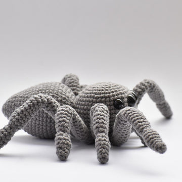 Jumping Spider