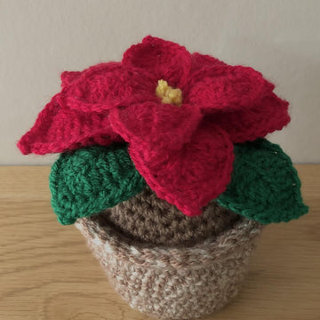 Poinsettia and Pot