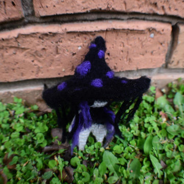 The Witch Stranger