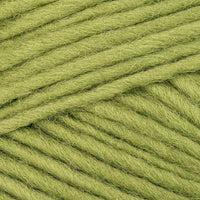 Olive (00017)