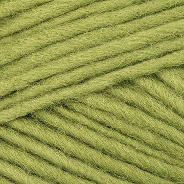 Olive (00017)