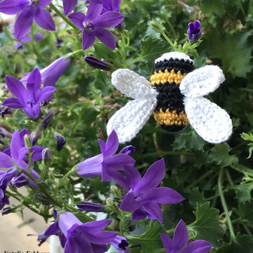 Bumblebee and Dragonfly