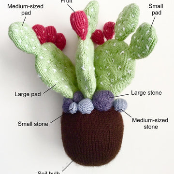 Prickly Pear Cactus