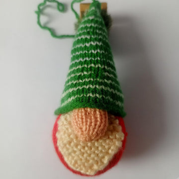 Enchanted Gnome