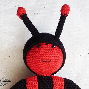 Ladybird