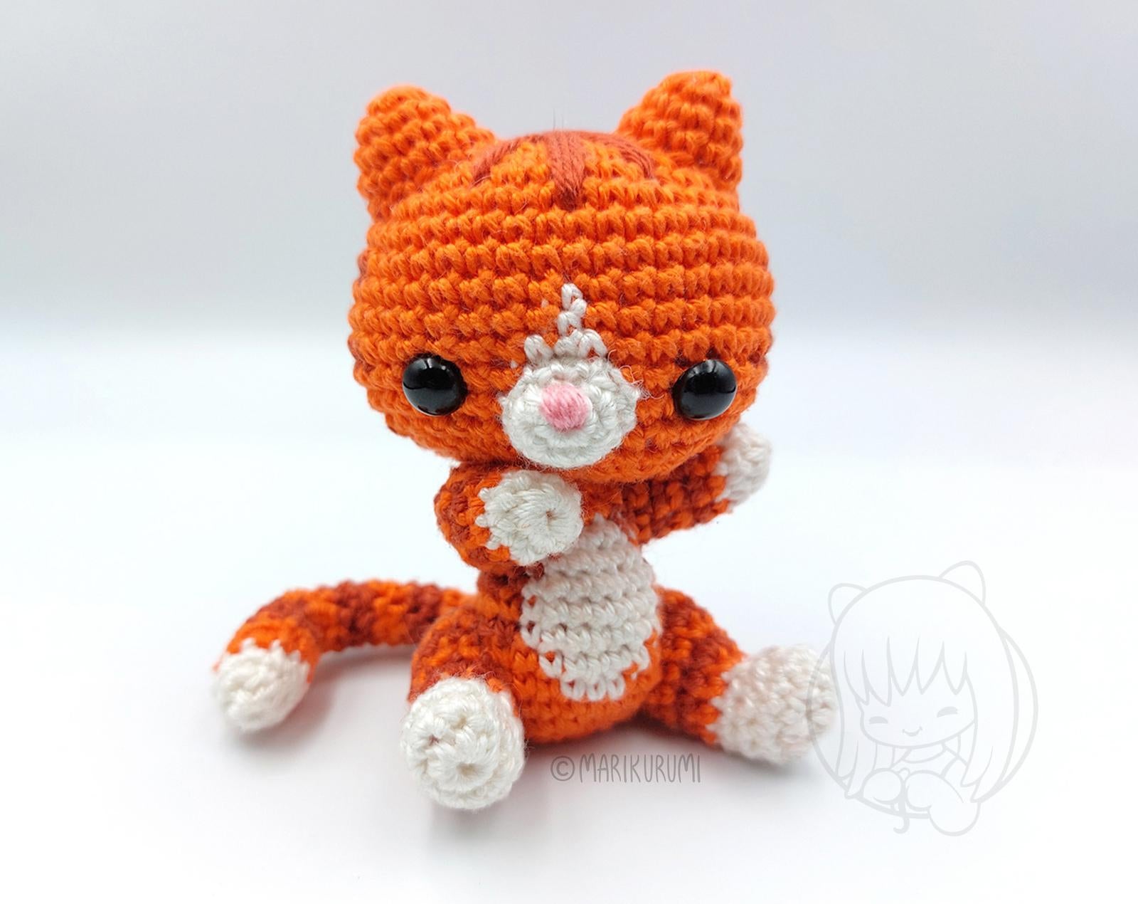 Gio the Ginger Cat