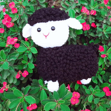 SHEEP -SENSO