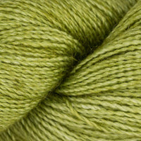 Lettuce (SA037)